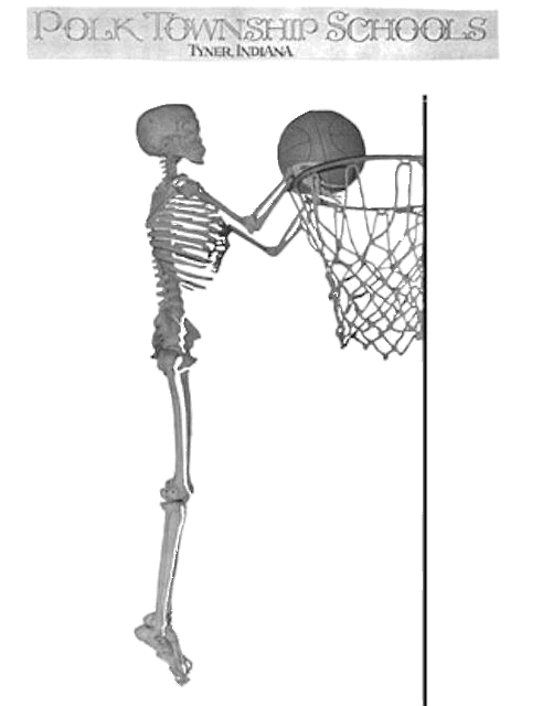 skeleton