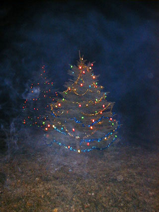 lights